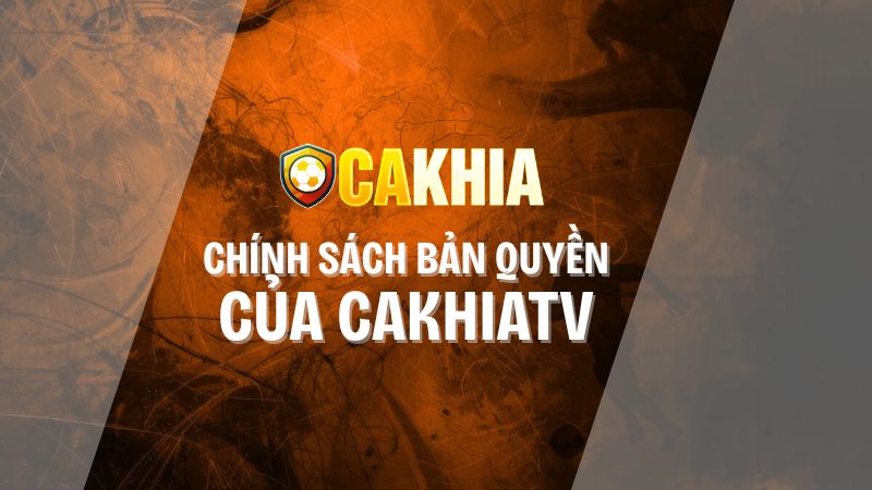 chính sách bản quyền